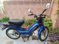 motos-et-scooters-peugeot-fox-1999-el-kantara-biskra-algerie