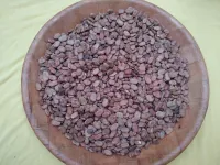 فول أحمر يابس 