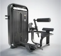 Back Extension (presse Lambert)