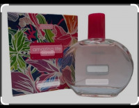 parfums-et-deodorants-parfum-femme-constantine-algerie