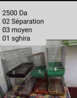 accessoire-pour-animaux-cage-oiseaux-es-senia-oran-algerie