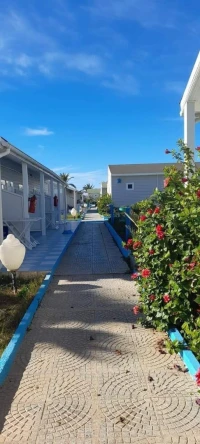 complexe Doriane Beach Ain temouchent été 2024