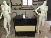 Lot matériel pour magasin Mannequins & comptoir & panneaux