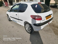 voitures-peugeot-206-2001-ras-el-oued-bordj-bou-arreridj-algerie