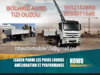Howo Sinotruck Camion Grue 4x2 8tonnes 2024
