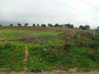 terrain-vente-boumerdes-larbatache-algerie