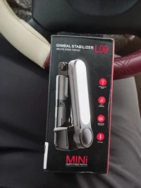 gimbal stabilized 