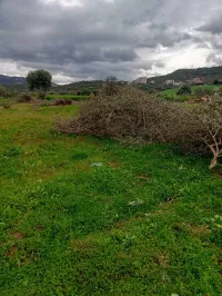 Vente Terrain Tizi Ouzou Tizi rached