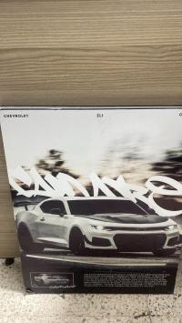 إكسسوارات-cadres-voiture-عين-تموشنت-تيموشنت-الجزائر