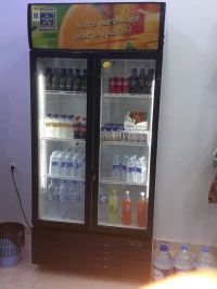Frigo mural 2 portes simaf 