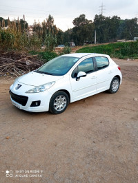 voitures-peugeot-207-2012-fennec-saoula-alger-algerie