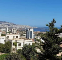 terrain-vente-alger-hussein-dey-algerie