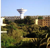 appartement-location-f4-alger-mohammadia-algerie