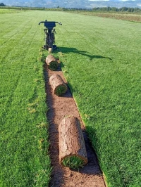 decoration des jardin