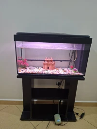 Aquarium