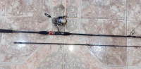 Canne a pêche pourspining DAIWA en  carbon 
