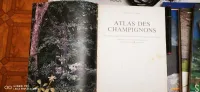 Atlas des champignons 
