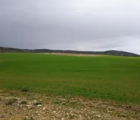 Vente Terrain Agricole Bordj Bou Arreridj El anseur