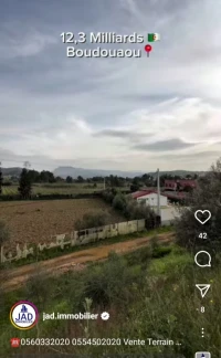 Vente Terrain Boumerdès Boudouaou