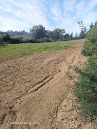 terrain-vente-blida-ain-romana-algerie