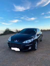 voitures-peugeot-407-2006-mazouna-relizane-algerie