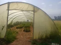 بيوت بلاستيكية