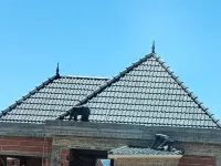 Charpentier professionnel 