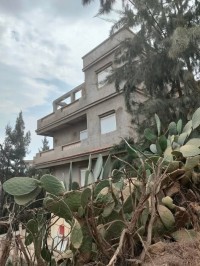 أرض-فلاحية-بيع-سكيكدة-الجزائر