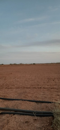 terrain-agricole-vente-ain-defla-bir-ould-khelifa-algerie