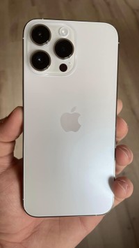 smartphones-iphon-13-pro-max-les-eucalyptus-alger-algerie