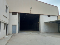 hangar-location-alger-birtouta-algerie