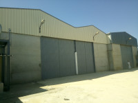 hangar-location-boumerdes-khemis-el-khechna-algerie