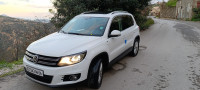 voitures-volkswagen-tiguan-2014-cup-bejaia-algerie