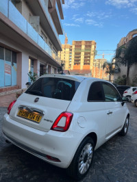 voitures-fiat-500-2024-club-oran-algerie