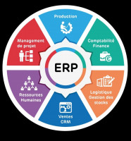 applications-logiciels-erp-avance-pour-la-gestion-integree-des-grandes-entreprises-tlemcen-algerie