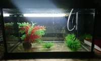 "حوض اسماك "اكواريوم Aquarium 