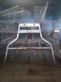 Batterie poule pondeuses 1200