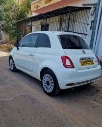 سيارات-fiat-500-2025-تيبازة-الجزائر