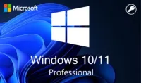 Windows 10 / 11 pro