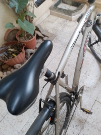 velos-velo-vtt-boumerdes-algerie