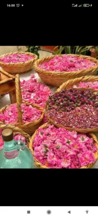 Eau de rose traditionnelle 