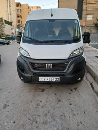 fourgon-fiat-ducato-sidi-bel-abbes-algerie