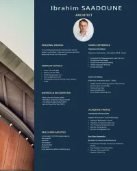 rédactions des CVs professionnels - صناعة سيرة ذاتية إحترافية  