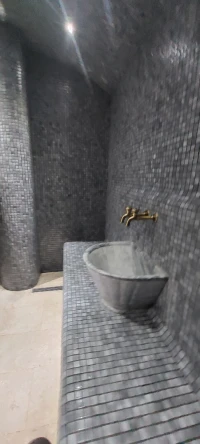 réalisation de hamam modern