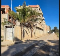 terrain-vente-alger-ouled-chebel-algerie
