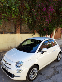 voitures-fiat-500-2024-constantine-algerie