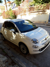 voitures-fiat-500-2024-constantine-algerie