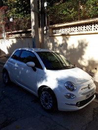 voitures-fiat-500-2024-constantine-algerie