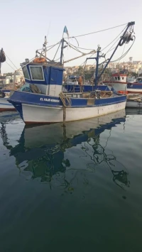 Sardinier 9m 