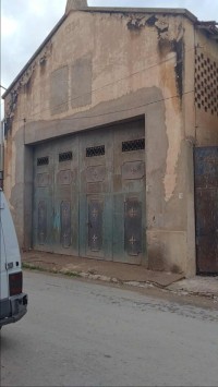 أرض-بيع-مستغانم-عين-النويصي-الجزائر